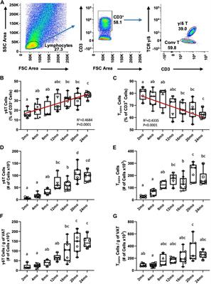Mechanisms of γδ T cell accumulation in visceral adipose tissue with aging